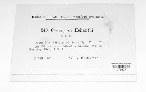 Passalora helianthi image